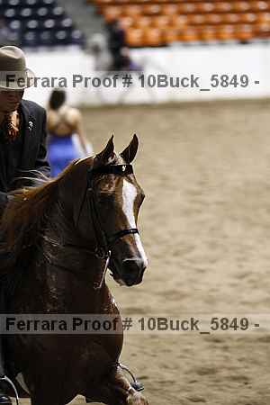 Proof 10buck_5849