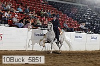 10buck_5851 proof