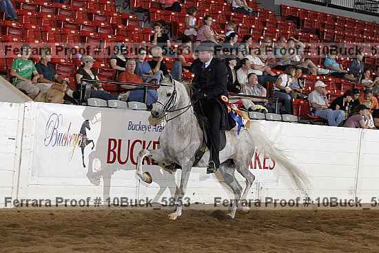 Proof 10buck_5853