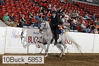 10buck_5853 proof