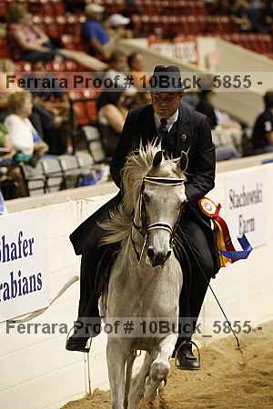 Proof 10buck_5855
