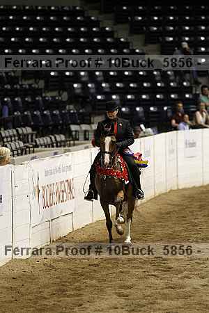 Proof 10buck_5856