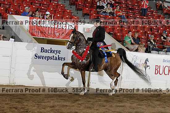 Proof 10buck_5859