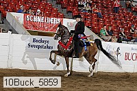 10buck_5859 proof