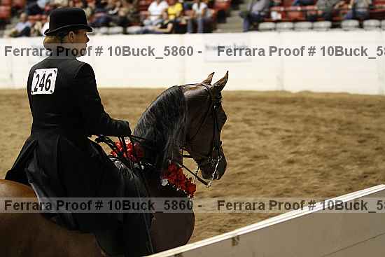 Proof 10buck_5860