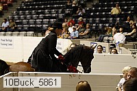 10buck_5861 proof