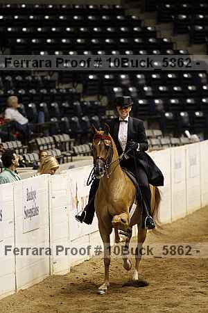 Proof 10buck_5862
