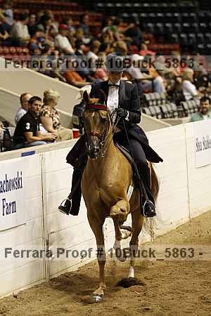 Proof 10buck_5863