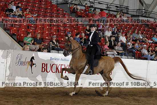 Proof 10buck_5864