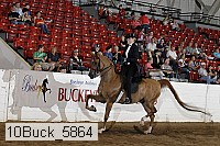 10buck_5864 proof