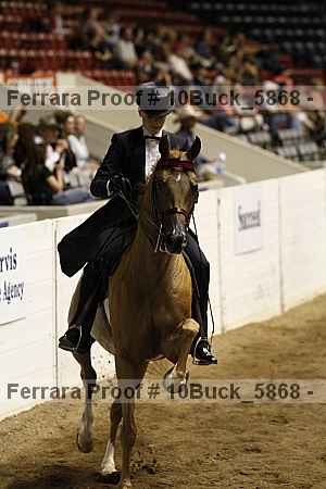 Proof 10buck_5868