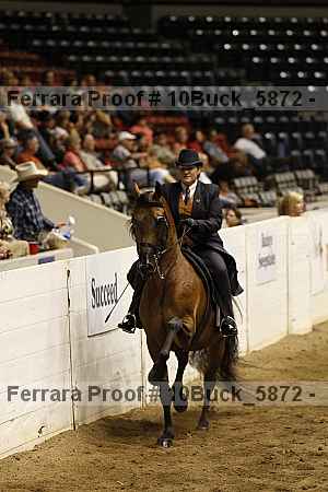 Proof 10buck_5872
