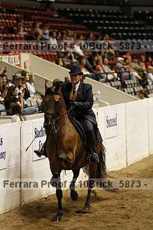 Proof 10buck_5873