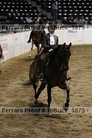 Proof 10buck_5875