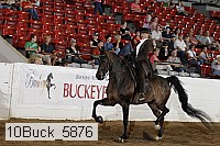 10buck_5876 proof