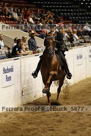 Proof 10buck_5877
