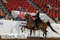 10buck_5878 proof