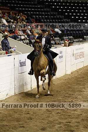 Proof 10buck_5880