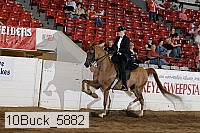 10buck_5882 proof