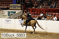 10buck_5883 proof