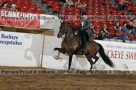 Proof 10buck_5884