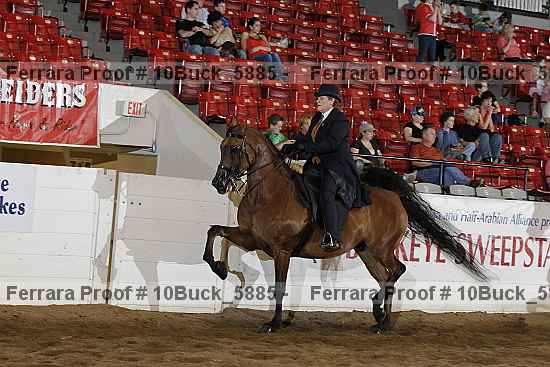 Proof 10buck_5885