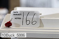 10buck_5886 proof