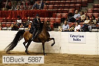 10buck_5887 proof