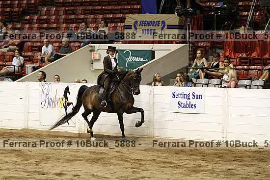 Proof 10buck_5888