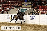 10buck_5888 proof