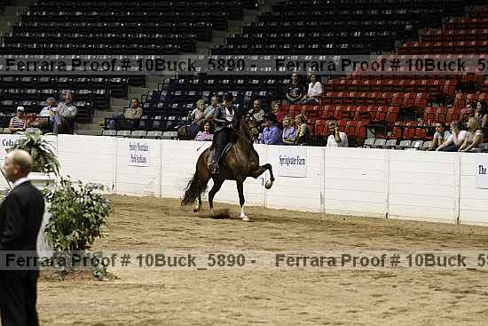 Proof 10buck_5890