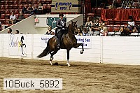 10buck_5892 proof