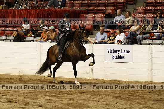 Proof 10buck_5893