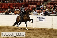 10buck_5893 proof