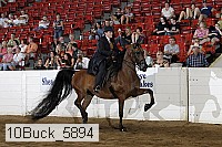 10buck_5894 proof