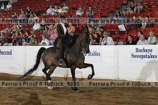 Proof 10buck_5895