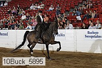 10buck_5895 proof