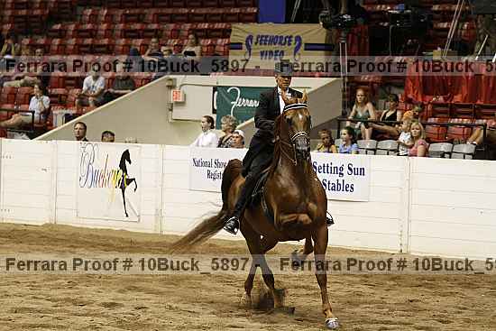 Proof 10buck_5897