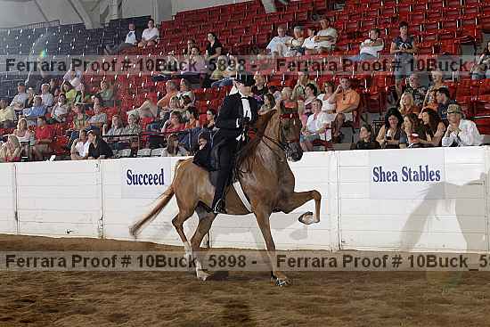 Proof 10buck_5898