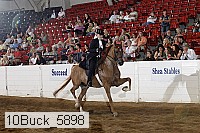 10buck_5898 proof