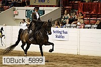 10buck_5899 proof
