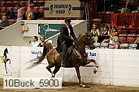10buck_5900 proof