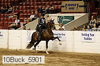 10buck_5901 proof