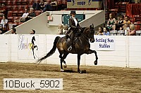 10buck_5902 proof