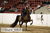 10buck_5903 proof