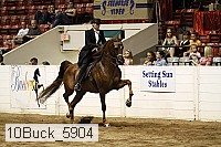 10buck_5904 proof