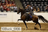 10buck_5906 proof