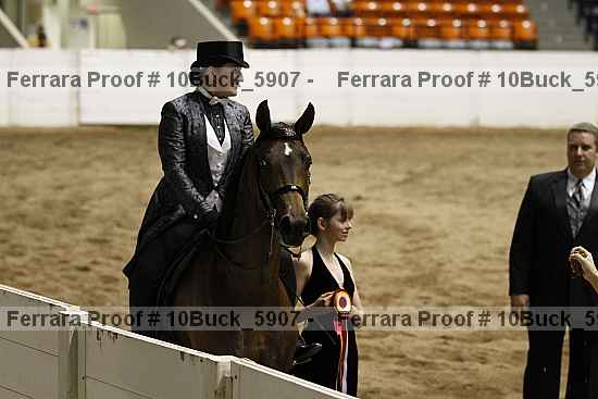 Proof 10buck_5907