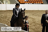 10buck_5907 proof