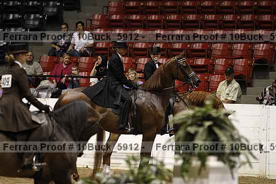 Proof 10buck_5912